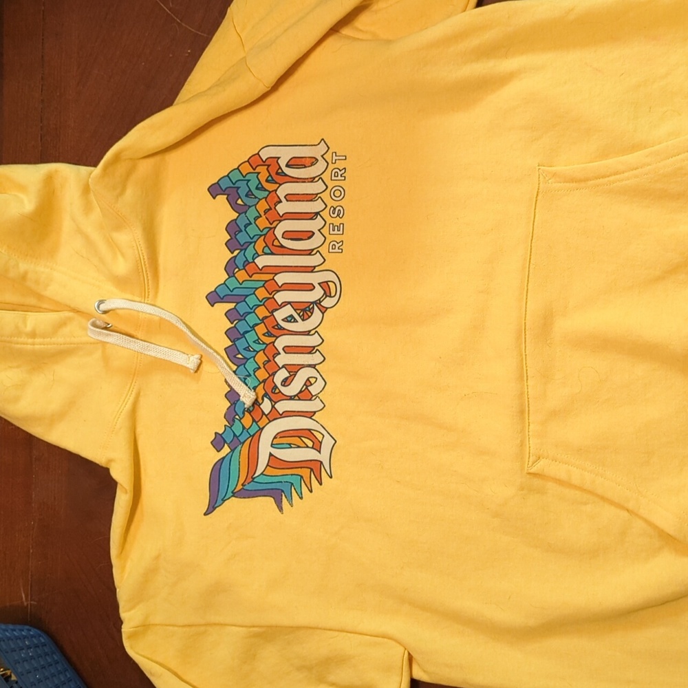 Disneyland Vintage Style Hoodie
